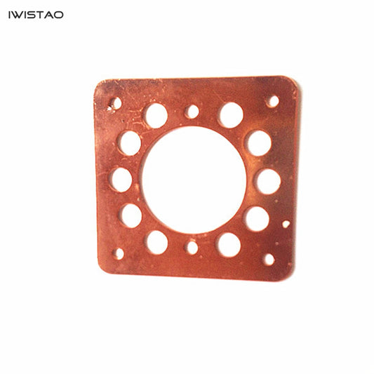 IWISTAO 1.5MM 4 핀 빅 튜브 구리 도금 충격 흡수 플레이트 300B 및 2A3용 충격 방지 라이너