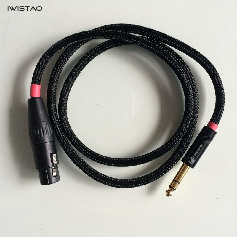 IWISTAO 6.35mm TRS to XLR TRS Male Cannon Balanced Cable Gold-plated –  IWISTAO HIFI MINIMART