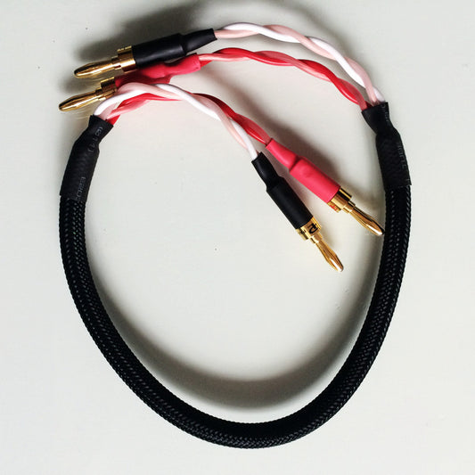 IWISTAO HIFI Speaker Cable for Music Center, Surround , Center Speaker With Japan origin Canare Cable and American Budweiser Banana Plug