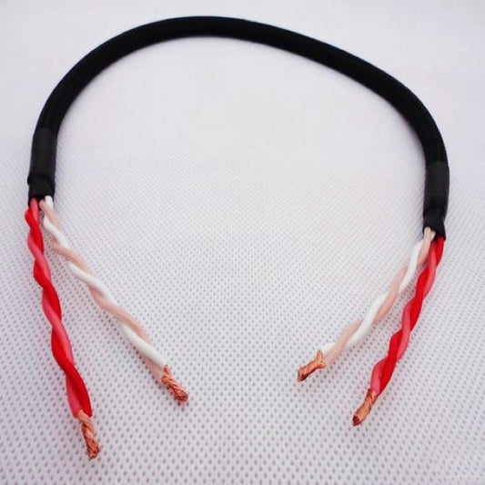 A section of black interconnecting speaker cable with exposed copper wires at one end.