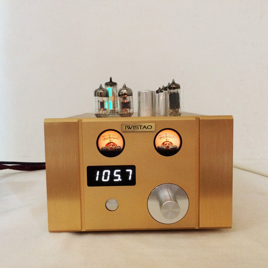 IWISTAO Finished Tube FM Stereo Radio Tuner