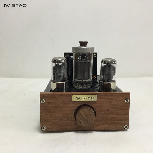 IWISTAO 1pc 모노 튜브 앰프 FU50 클래스 A 싱글 엔드 소형 300B 12W 프리 앰프 2 x 6J4P