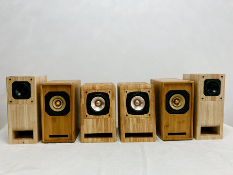 Beyond the Box: My Journey into IWISTAO's Transmission Line Speakers