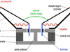 The Heart of Your Sound System: A Deep Dive into Speaker Cones