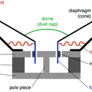 The Heart of Your Sound System: A Deep Dive into Speaker Cones