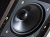 From By Feel to By Formula: The Legends Who Transformed the Speaker World