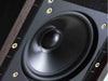 From By Feel to By Formula: The Legends Who Transformed the Speaker World