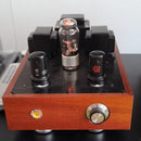 Brief of Vacuum Tube Models and Replacement