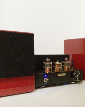 Beautiful Enclosure and Wonderful Sound form IWISTAO HIFI 4 Inches Full Range Speaker Monitor