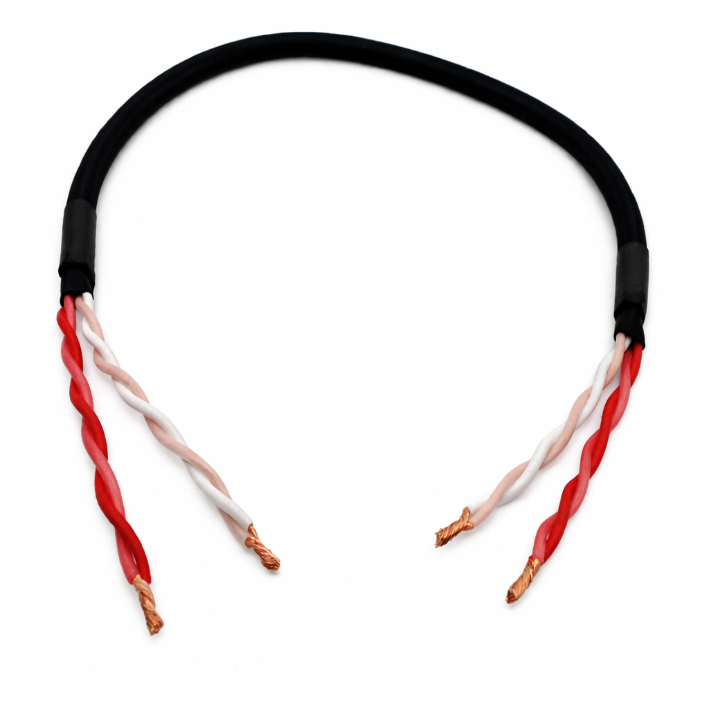 Decoding the Current: A Comprehensive Guide to Speaker Cables – IWISTAO ...