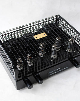 Black IWISTAO 2X12W HIFI Tube Amplifier with gold-plated RCA connectors and a grid of metal for the front panel.