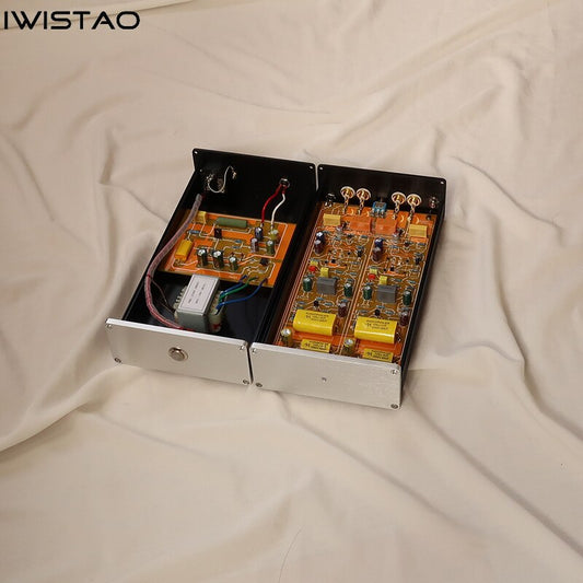 IWISTAO ディスクリートコンポーネント MM/MC フォノステージ FET アンプ LP フォノ分割型 AC110V/220V HIFI オーディオ用