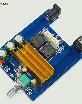 IWISTAO TPA3116 Amplifier Class D Board High-power Finished Boards Mono 100W DIY