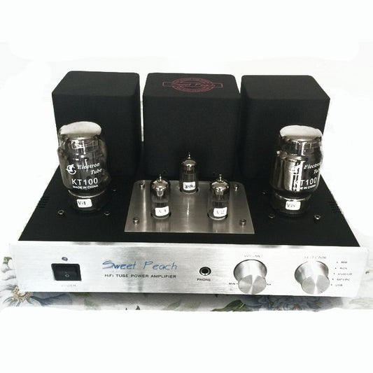 IWISTAO Tube Amp KT100 Power Stage 2x13W Class A Signal-ended MM Phono Decoder