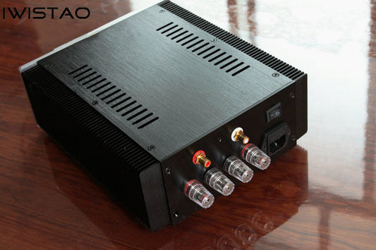 IWISTAO Single-ended DC Pure Class A Warm Sound Gold Sealed FET Finished Power Amplifier Post-stage Amp Pass ACA for Electronic Frequency Division