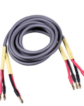 IWISTAO HIFI Interconnection Speaker Cable Rough Core Gold-plated Platinum Wires 24K Gold Plated Banana Plugs Entry-level