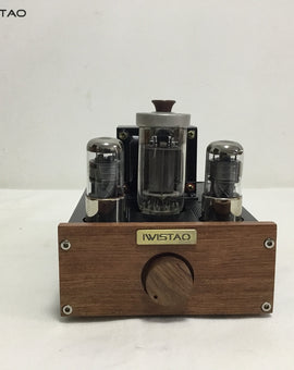 IWISTAO 1pc Mono Tube Amplifier FU50 Class A Singal-ended Small 300B 12W Preamplifier 2 x 6J4P