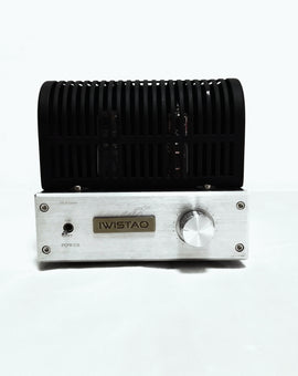 IWISTAO HIFI Mini Tube Amp 2x3W Class A Single-ended 6J1 Preamp 6P1 Power Stage Amp 110~240V