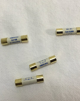 HIFI Audio Dedectated Fuse Pure Silver 99% 250V 1A 2A 3A 4A 5A 5mm (D) 20mm (L)